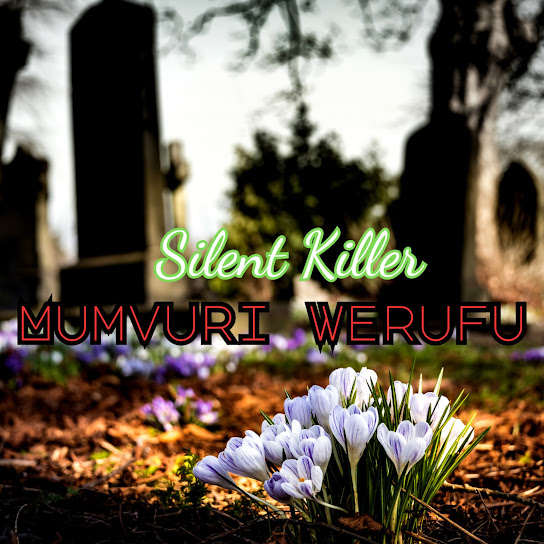 Silent Killer – Mumvuri Werufu